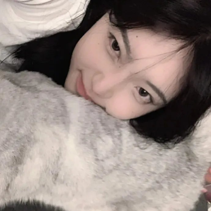 9号秘事第四季